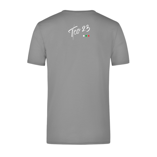 Teo23 Grey